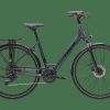 Citybikes Trek | Verve 2 Equipped Lowstep Galactic Grey