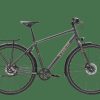 Citybikes Trek | District 4 Equipped Lithium Grey