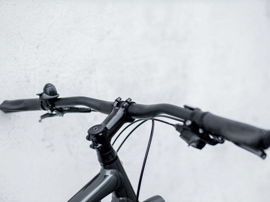 Citybikes Trek | District 4 Equipped Lithium Grey