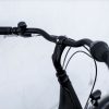 Citybikes Trek | District 1 Equipped Lowstep