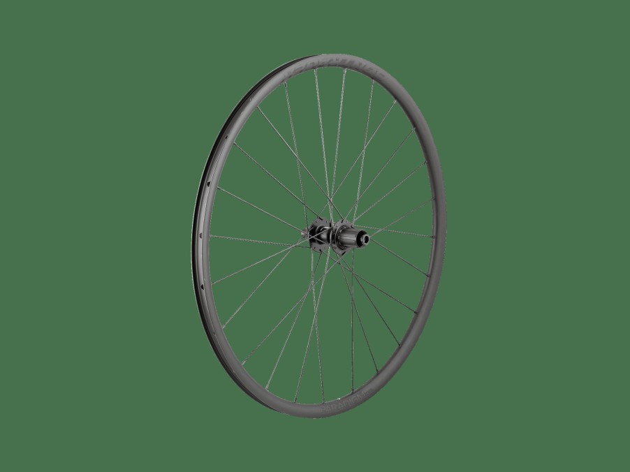 Udstyr Trek Hjul | Bontrager Paradigm Sl Centerlock Disc 24H Silver Nipples 700C Road Wheel Black